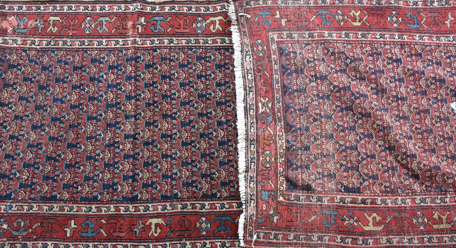 Tapete Bakhtiari (1801) - foto 2 de 3
