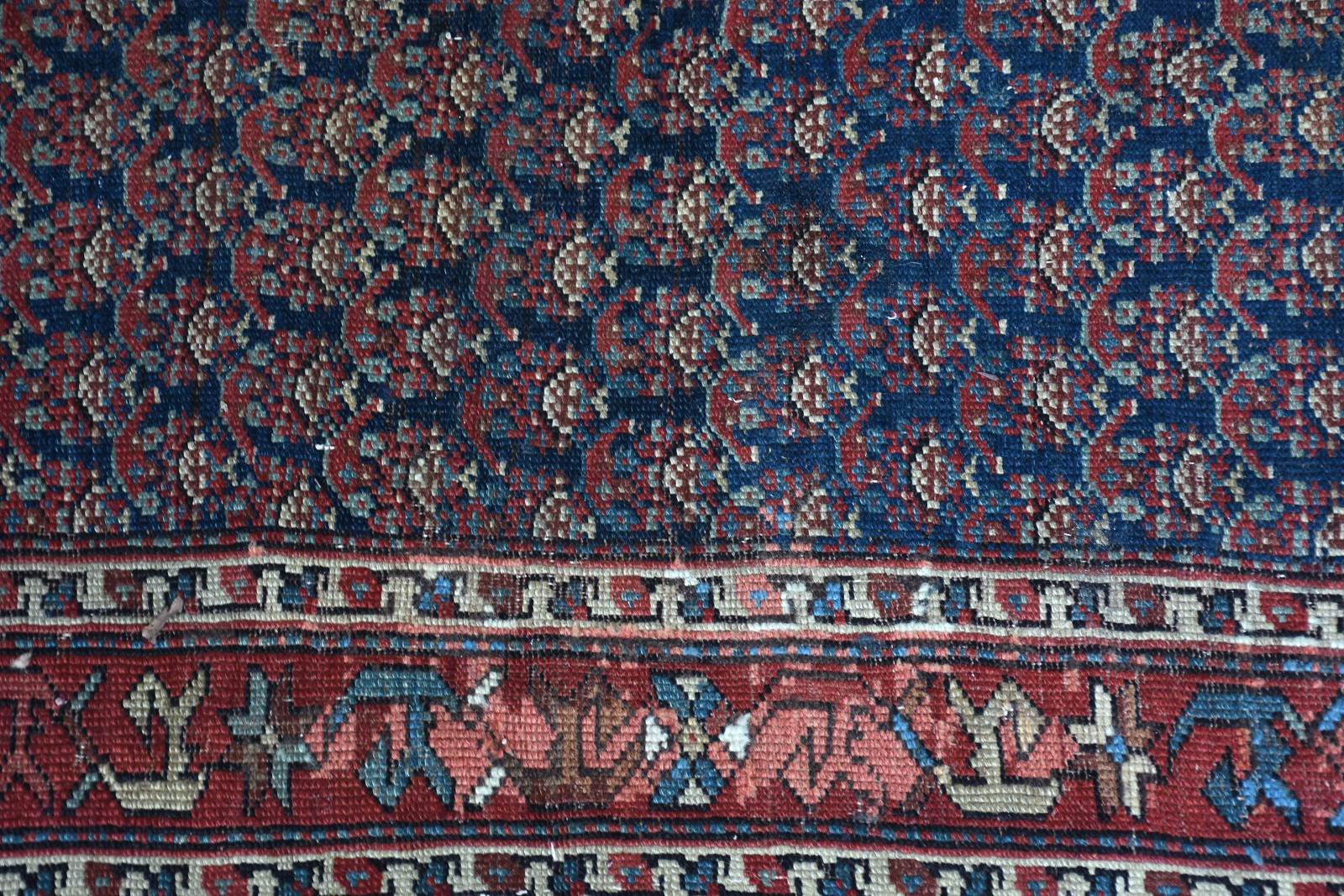 Tapete Bakhtiari (1801) - foto 3 de 3