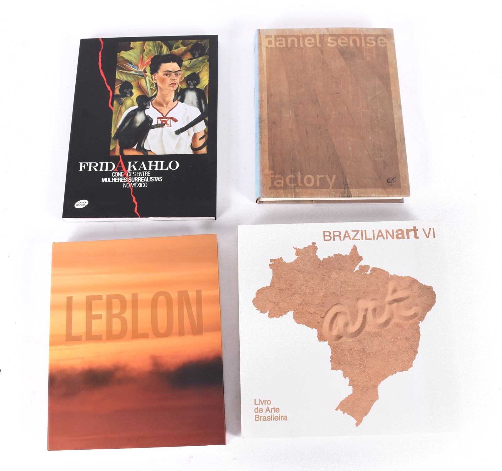 Quatro livros: A) Daniel Senise B) Frida Kahlo C) Leblon D)Brazilian... - foto 1 de 9