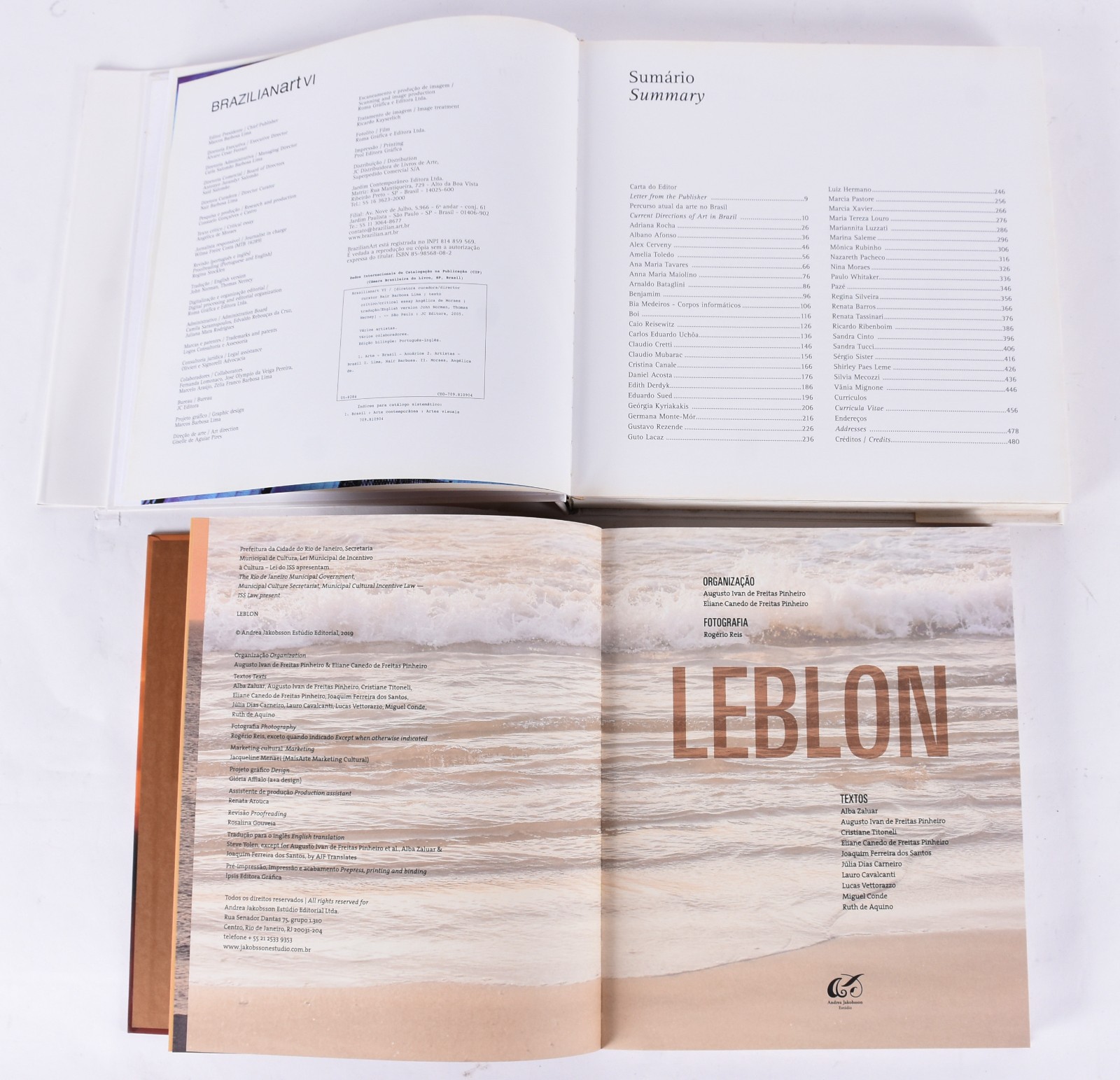 Quatro livros: A) Daniel Senise B) Frida Kahlo C) Leblon D)Brazilian... - foto 2 de 9