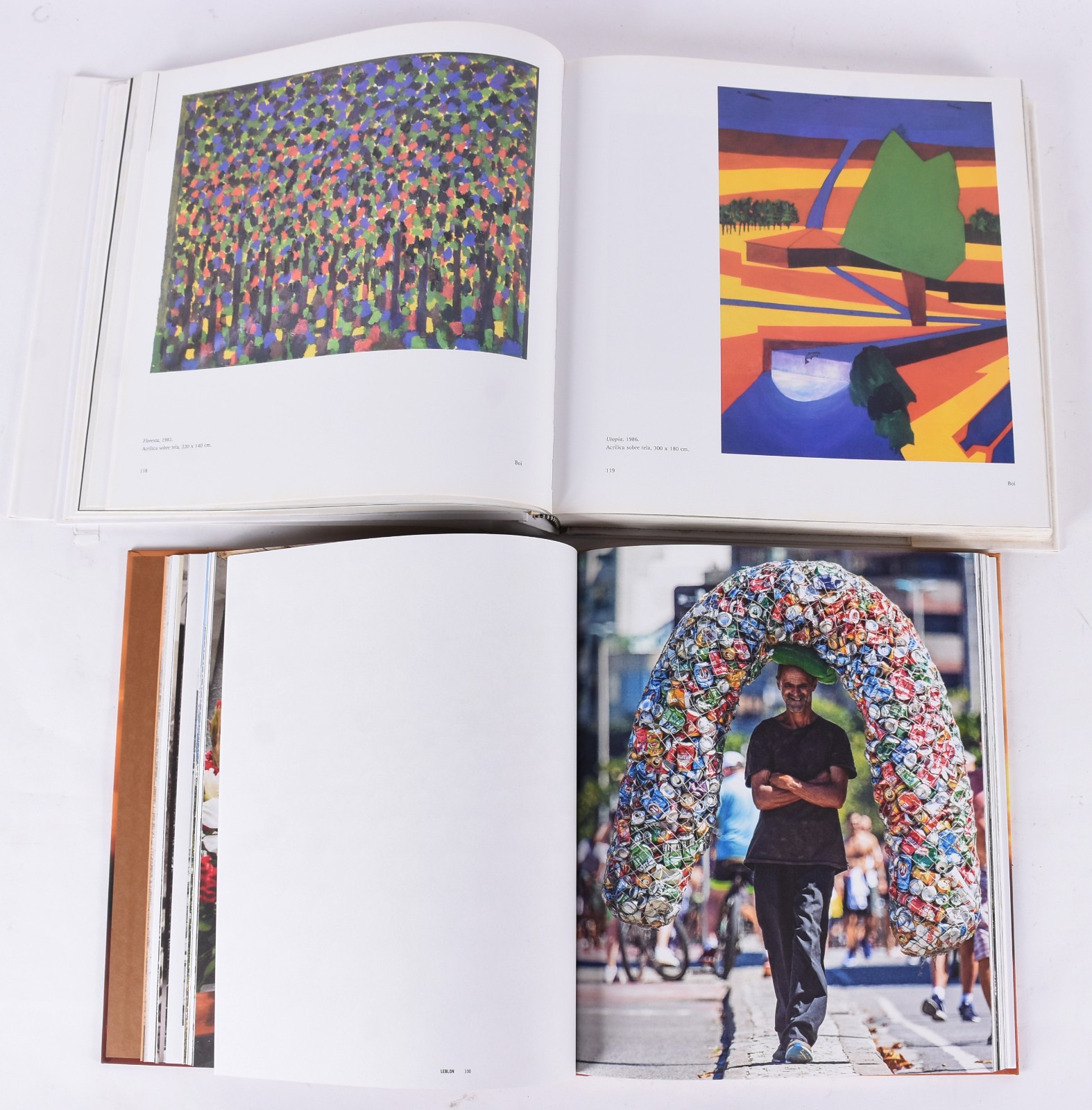 Quatro livros: A) Daniel Senise B) Frida Kahlo C) Leblon D)Brazilian... - foto 4 de 9