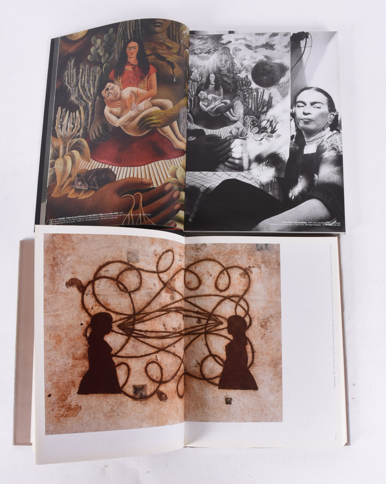 Quatro livros: A) Daniel Senise B) Frida Kahlo C) Leblon D)Brazilian... - foto 7 de 9