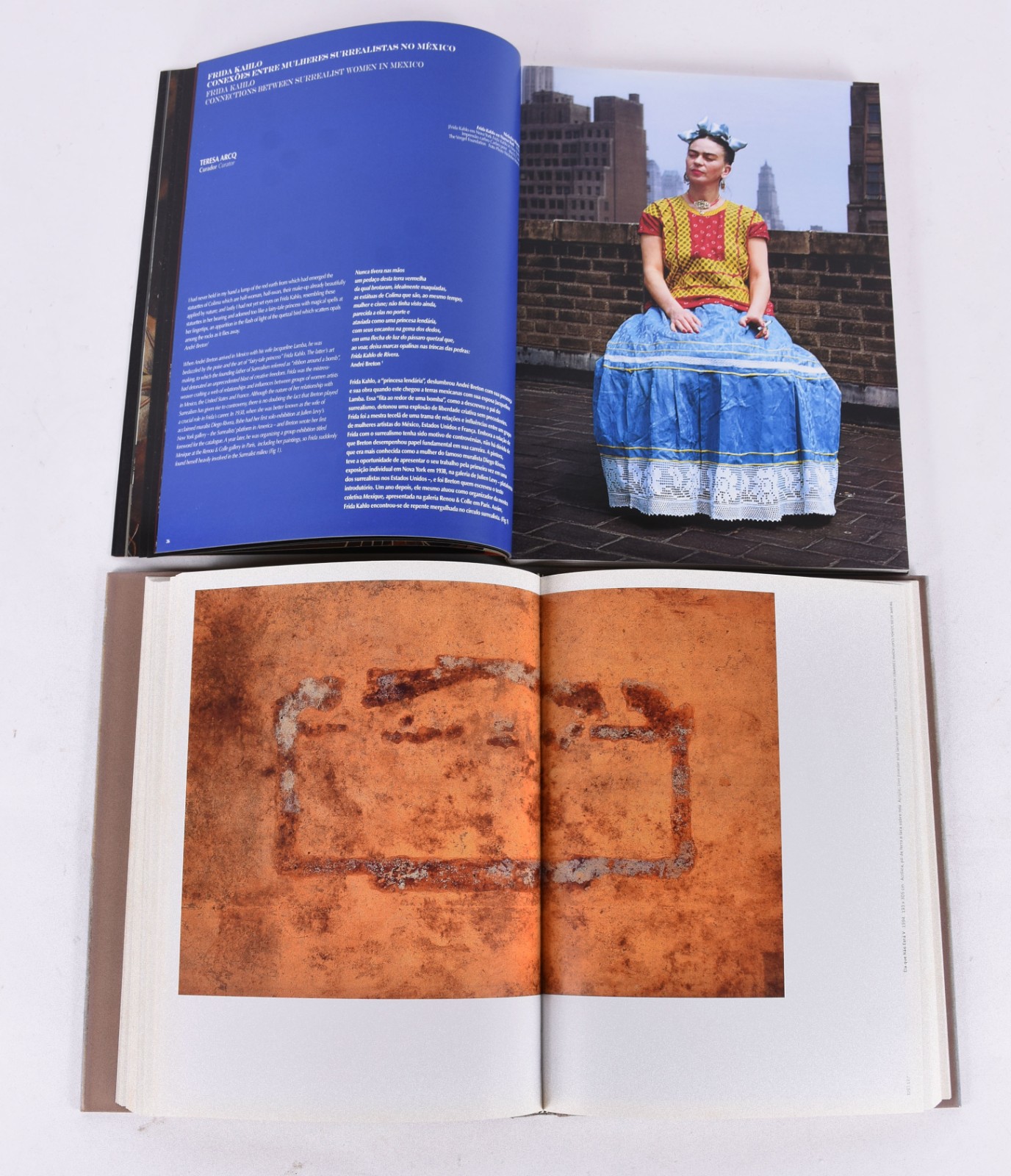 Quatro livros: A) Daniel Senise B) Frida Kahlo C) Leblon D)Brazilian... - foto 8 de 9