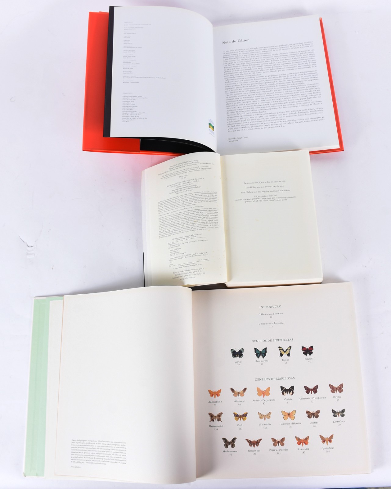 Cinco livros: a) Bill Clinton, minha vida b) Fernando Botero c) Arte... - foto 5 de 8