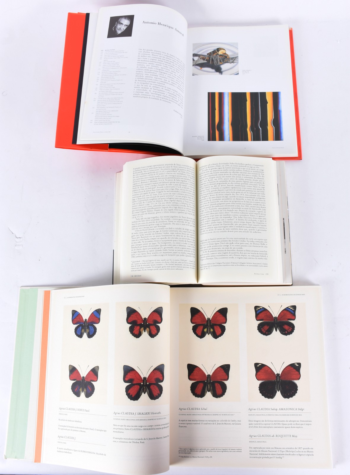 Cinco livros: a) Bill Clinton, minha vida b) Fernando Botero c) Arte... - foto 6 de 8