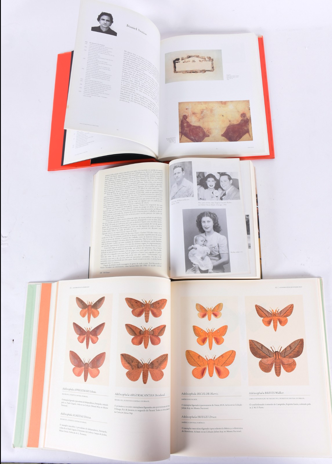 Cinco livros: a) Bill Clinton, minha vida b) Fernando Botero c) Arte... - foto 7 de 8