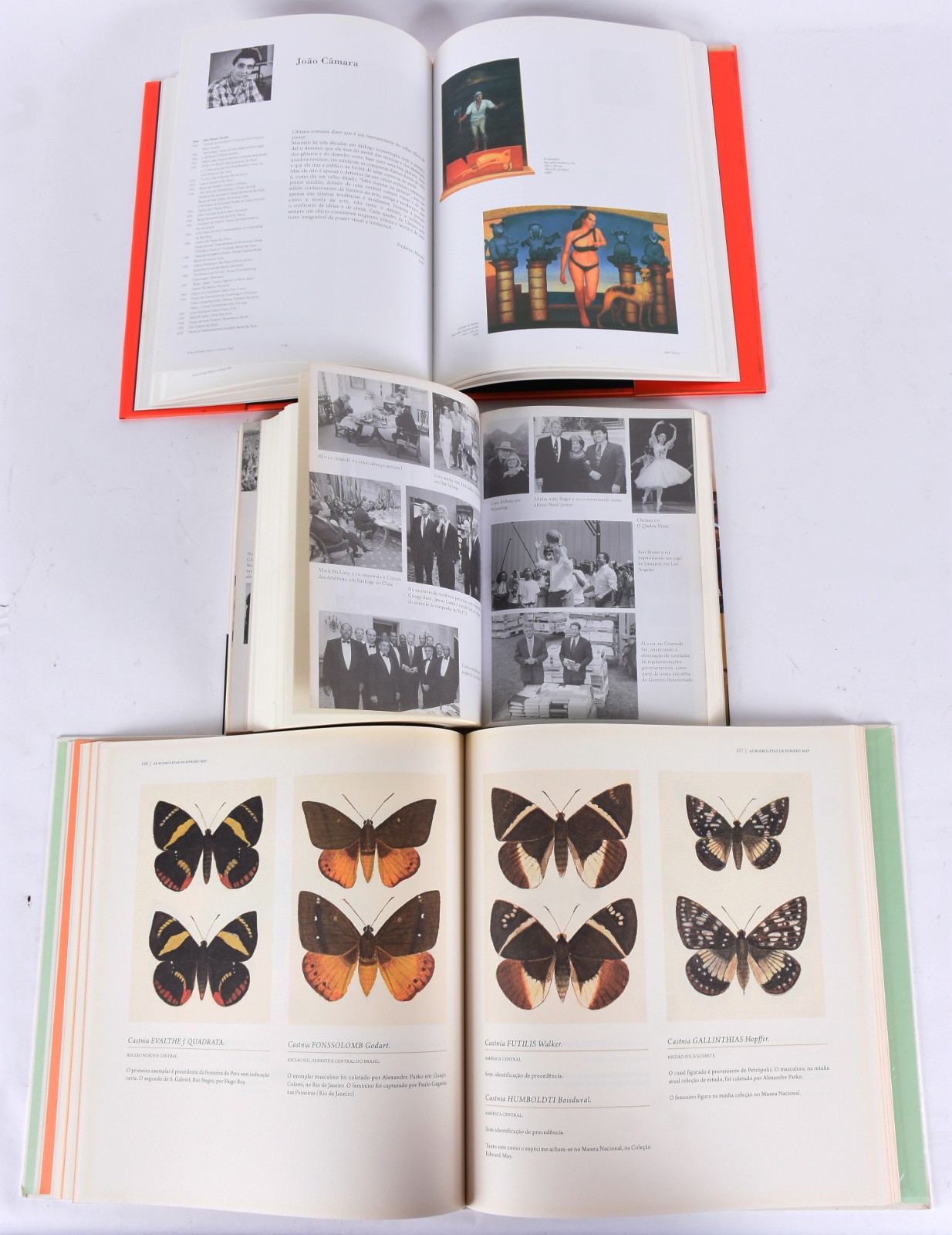 Cinco livros: a) Bill Clinton, minha vida b) Fernando Botero c) Arte... - foto 8 de 8