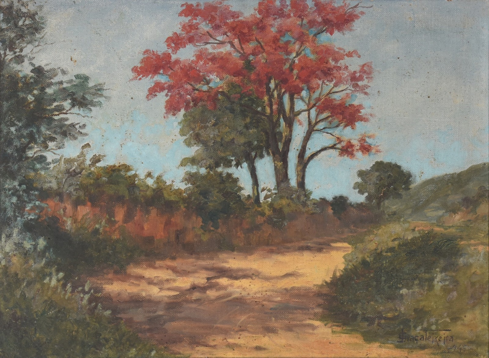 Paisagem - foto 1 de 3
