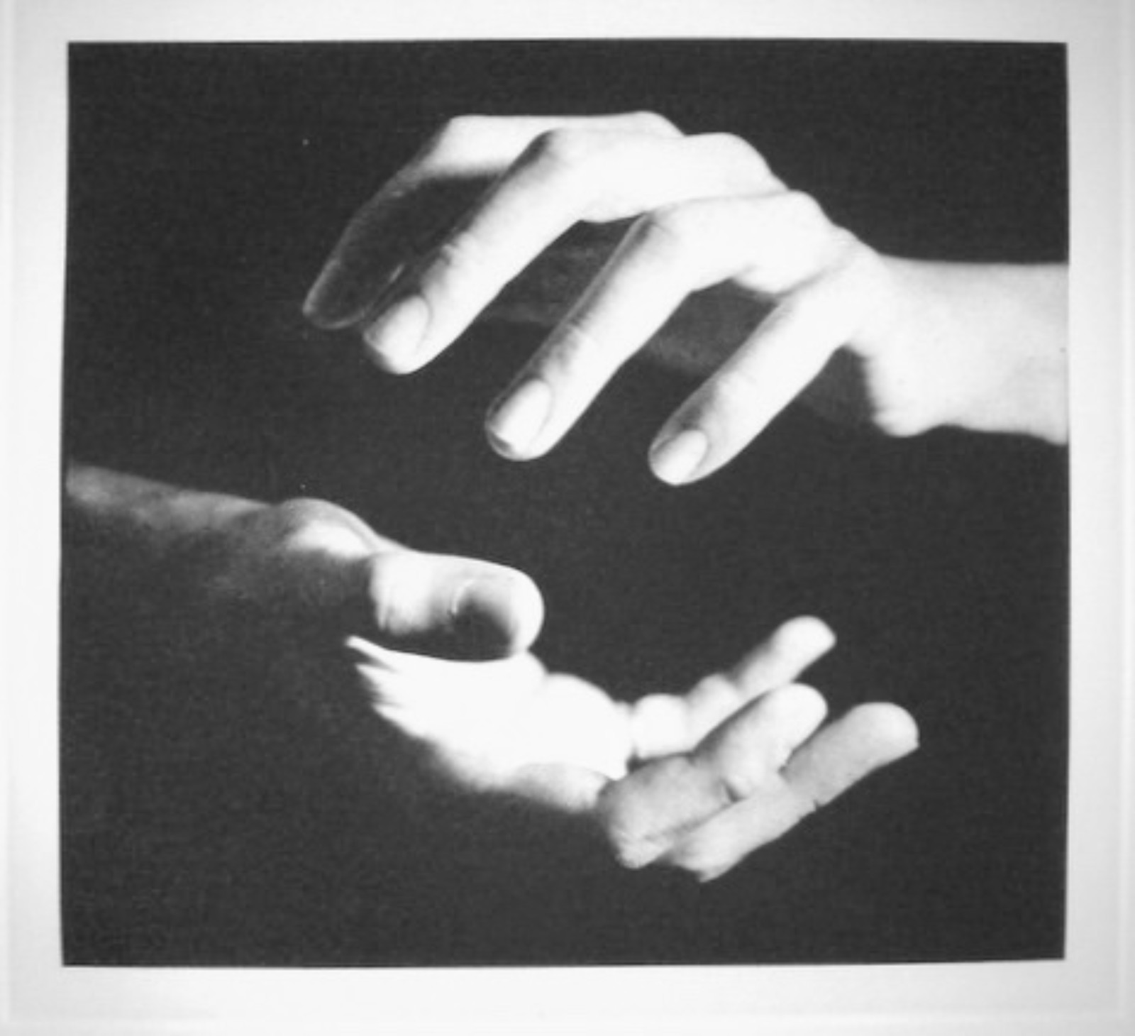Waltercio Caldas (1946), Studies On Will - foto 4 de 9