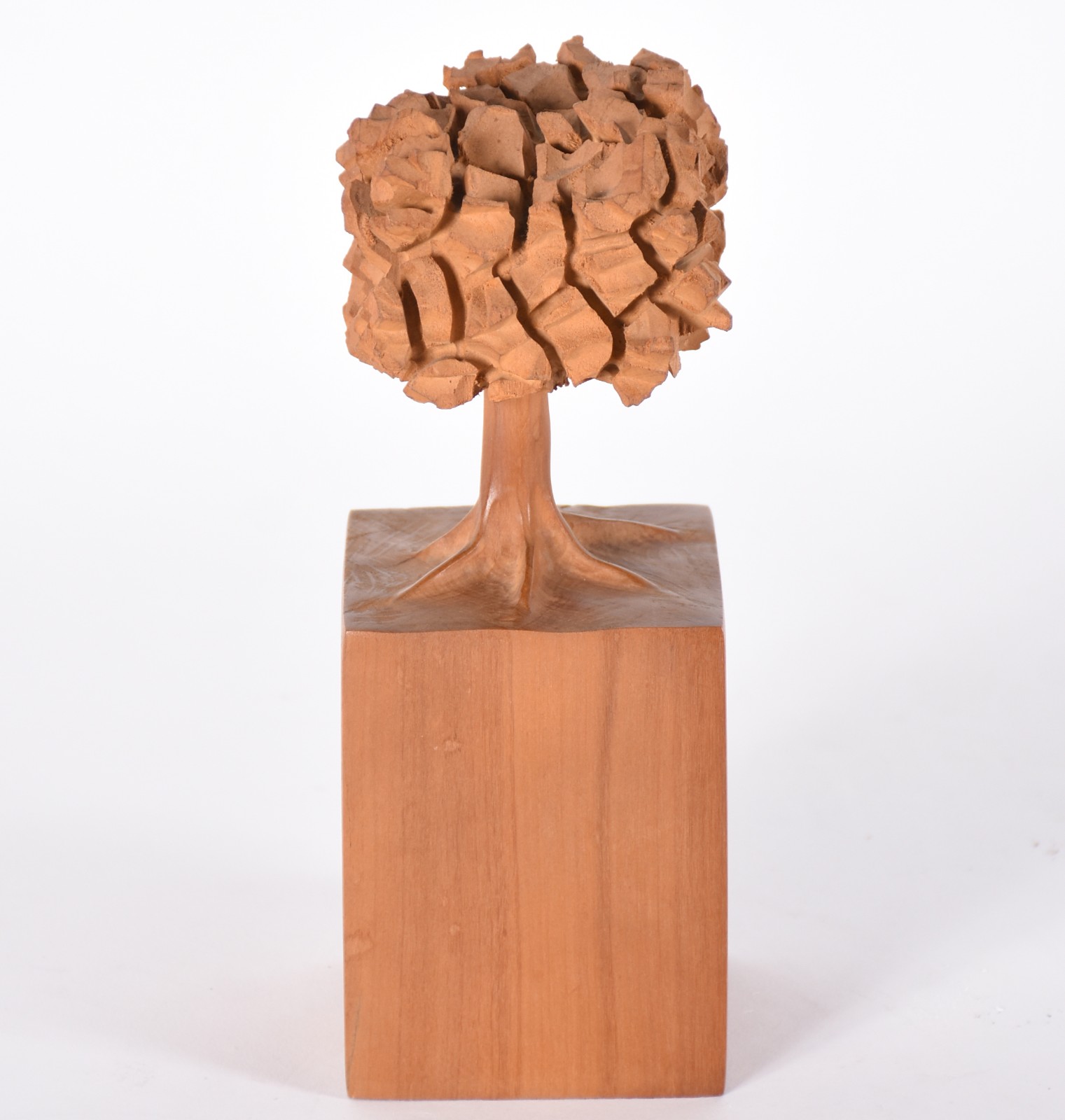 José Bento (1962), Árvore - foto 3 de 7