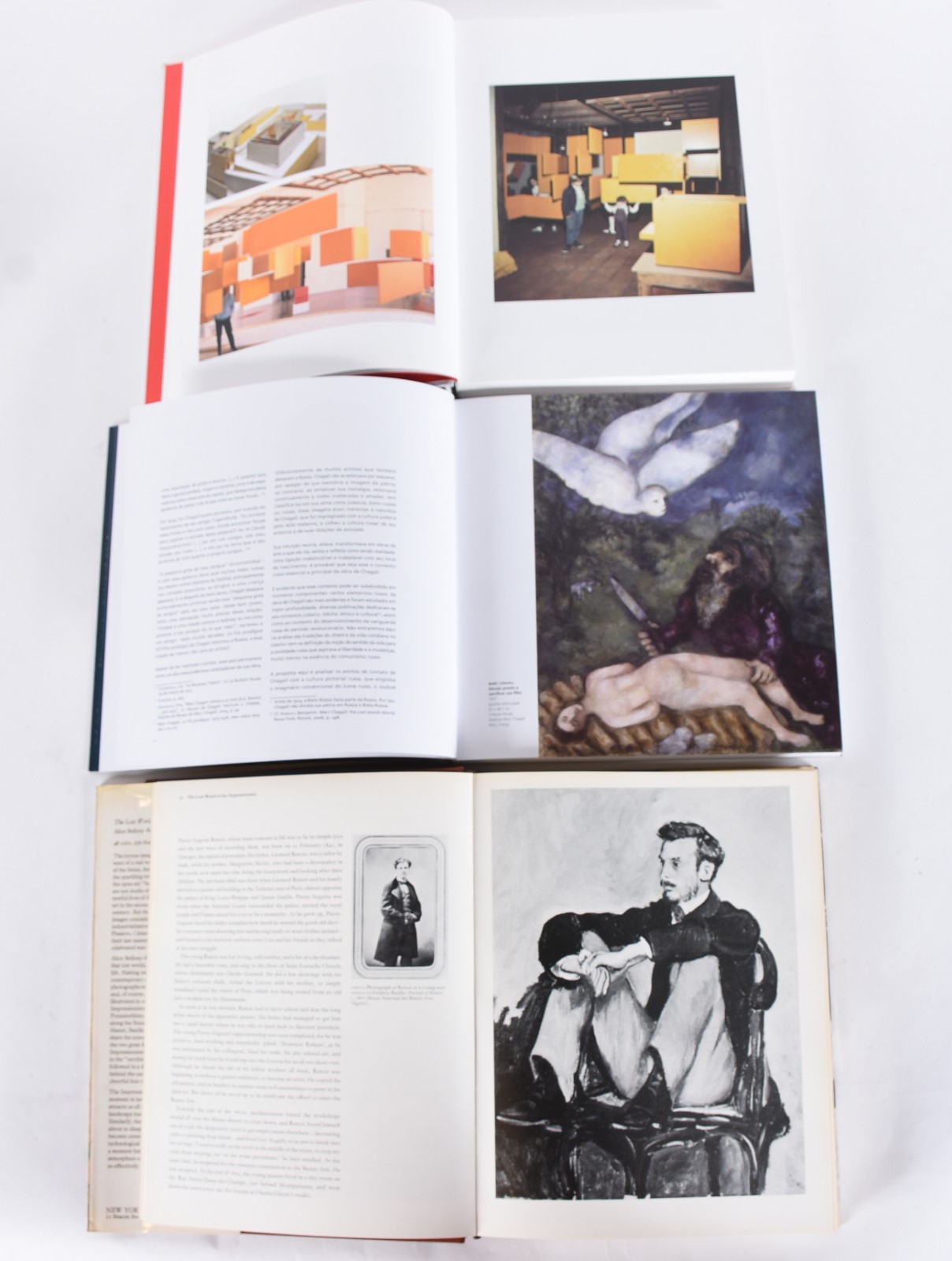 Cinco livros: A) The Lost World Of The Impressionists B)Helio... - foto 2 de 9