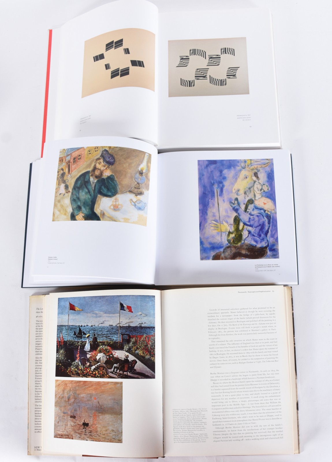 Cinco livros: A) The Lost World Of The Impressionists B)Helio... - foto 3 de 9