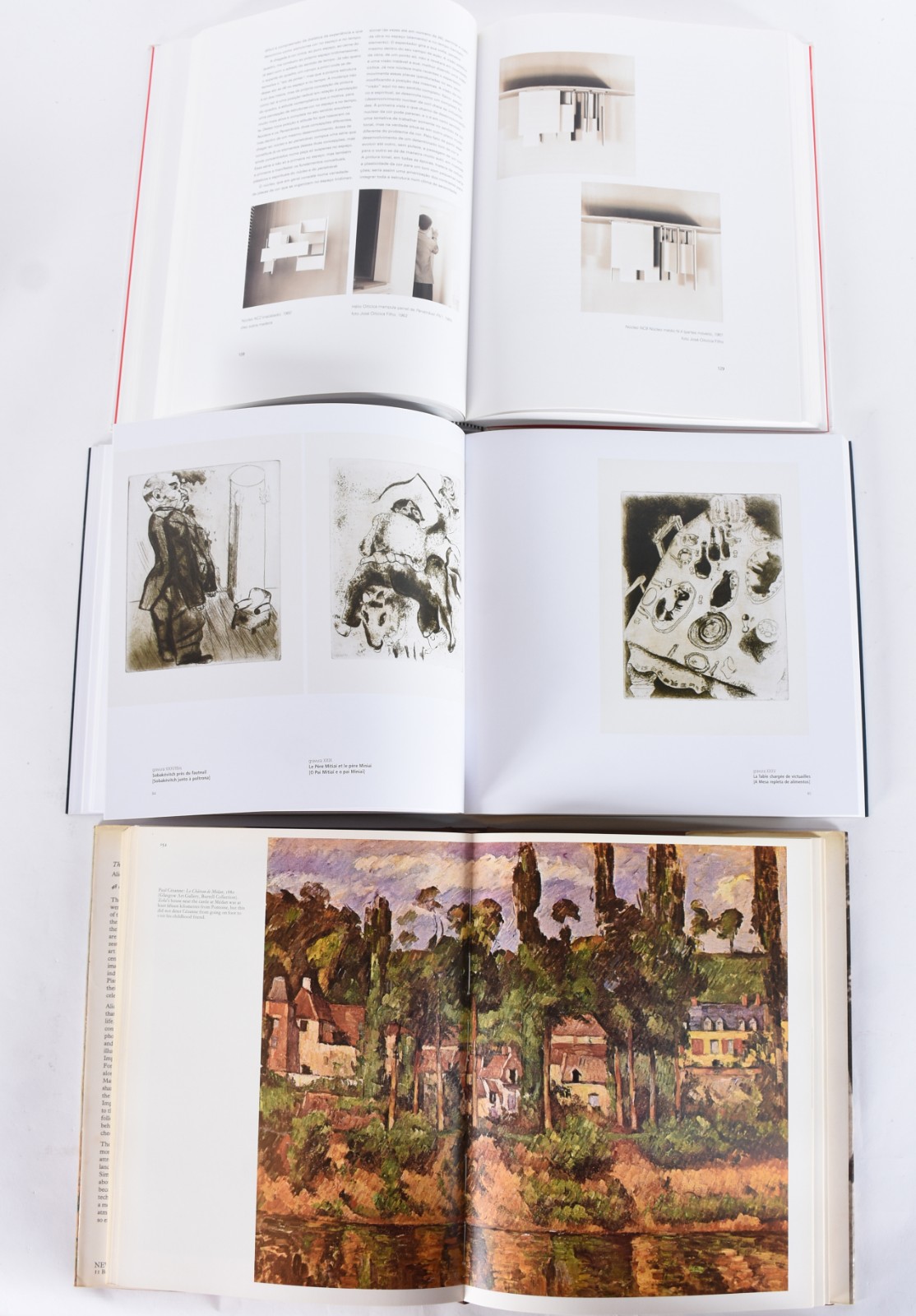 Cinco livros: A) The Lost World Of The Impressionists B)Helio... - foto 4 de 9