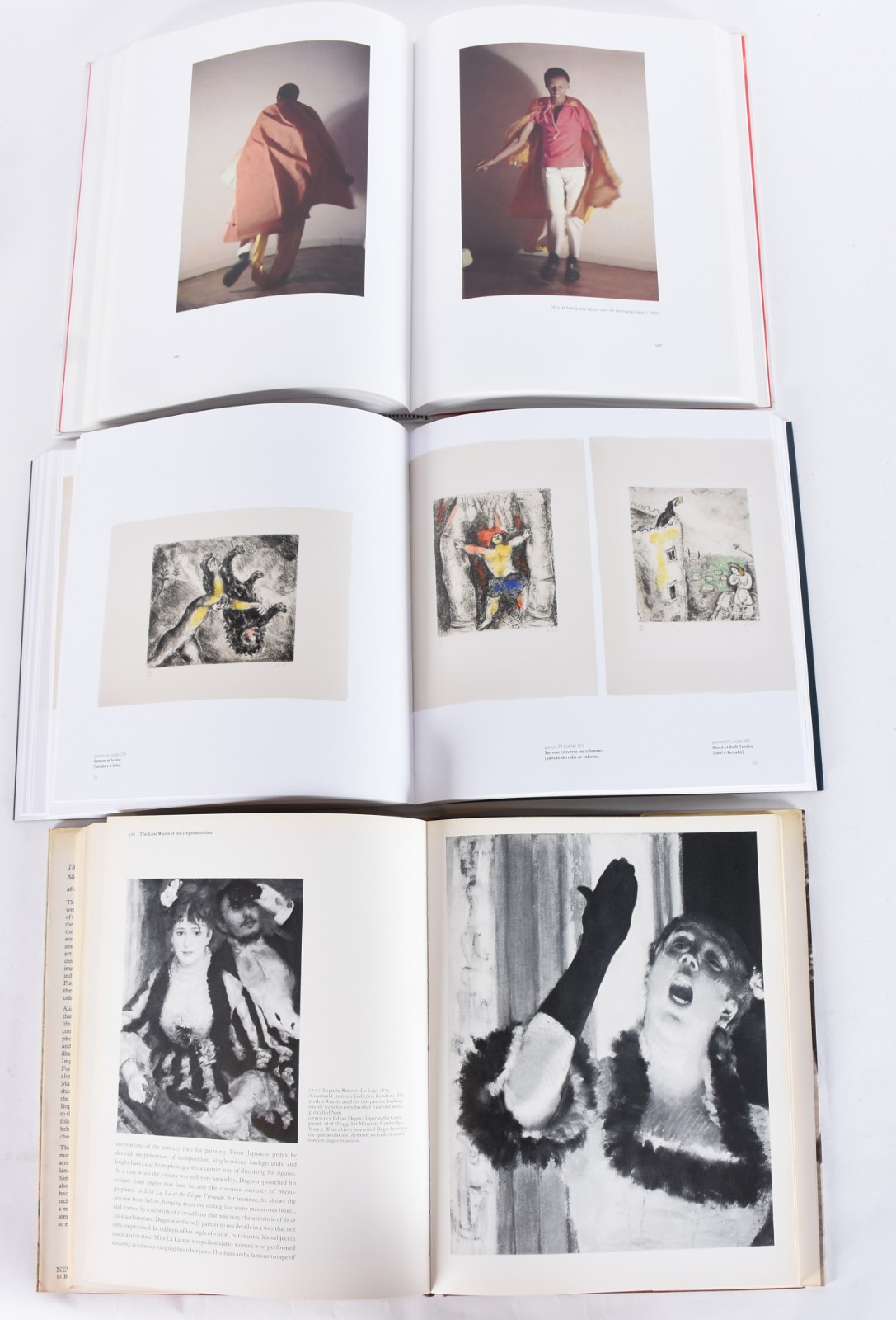 Cinco livros: A) The Lost World Of The Impressionists B)Helio... - foto 5 de 9