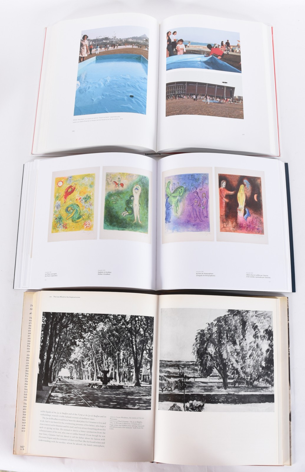 Cinco livros: A) The Lost World Of The Impressionists B)Helio... - foto 6 de 9