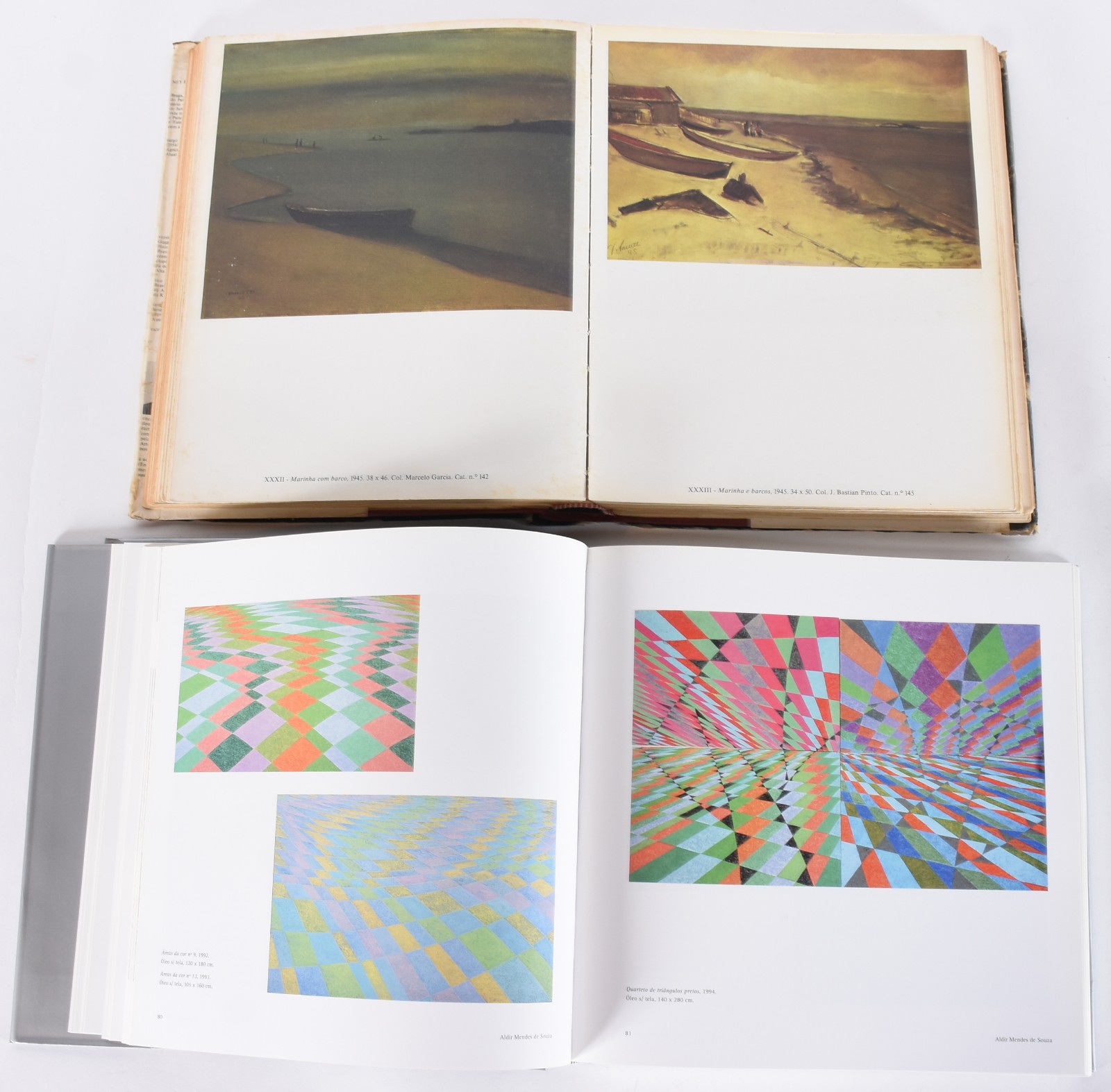 Cinco livros: A) The Lost World Of The Impressionists B)Helio... - foto 8 de 9