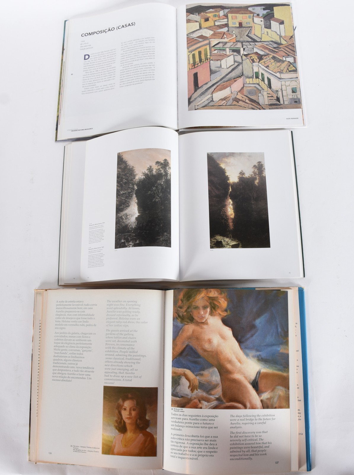 Cinco livros: A)Facchinetti B)Aldo Bonadei C)Aurelio D'alincourt... - foto 6 de 9