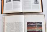 Cinco livros: A)Facchinetti<br>B)Aldo Bonadei<b... - Cinco livros: A)Facchinetti<br>B)Aldo Bonadei<br>C)Aurelio D'alincourt<br>D)Bianco<br>E)Pintura Brasil