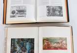 Cinco livros: A)Facchinetti<br>B)Aldo Bonadei<b... - Cinco livros: A)Facchinetti<br>B)Aldo Bonadei<br>C)Aurelio D'alincourt<br>D)Bianco<br>E)Pintura Brasil