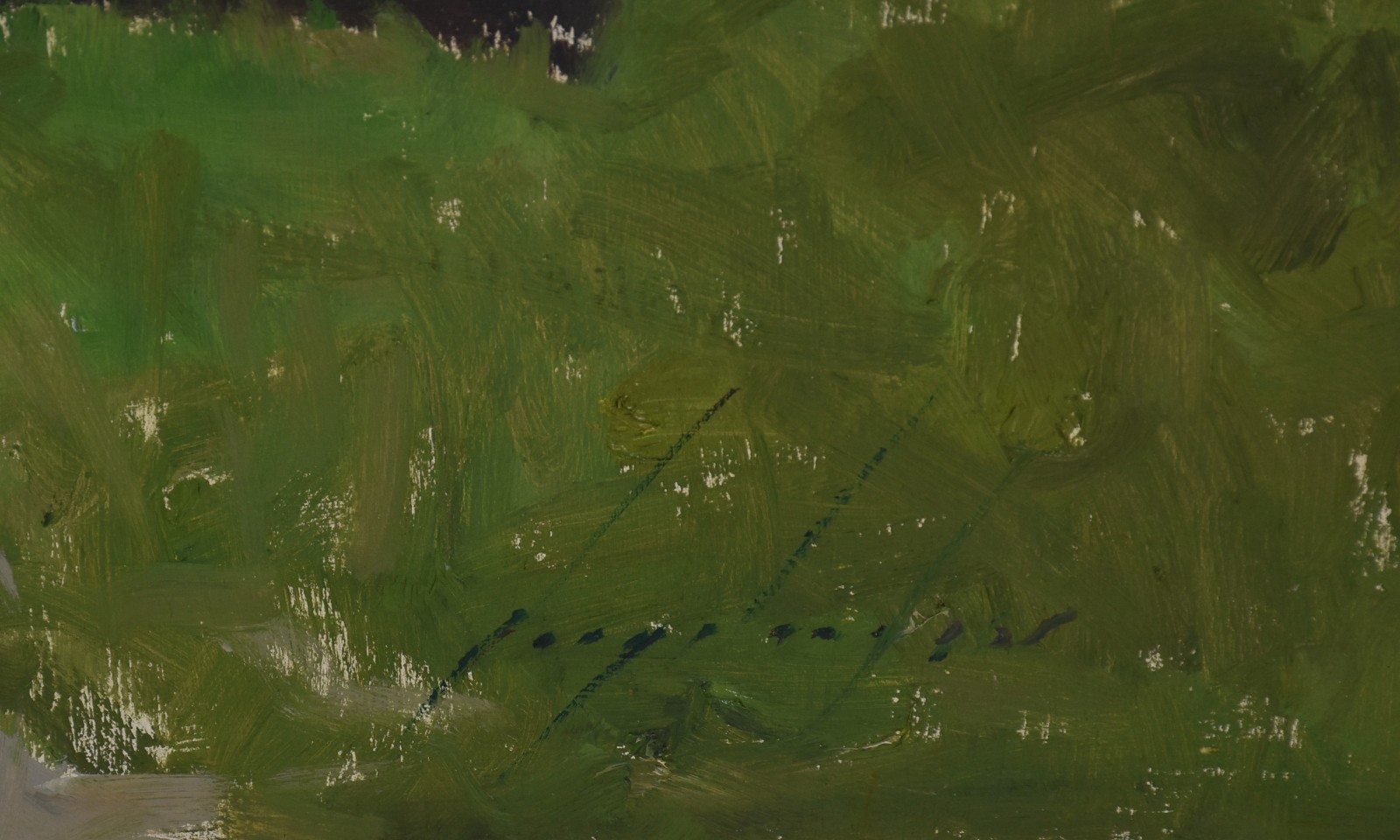 Virgílio Dias (1956), Florista - foto 2 de 3