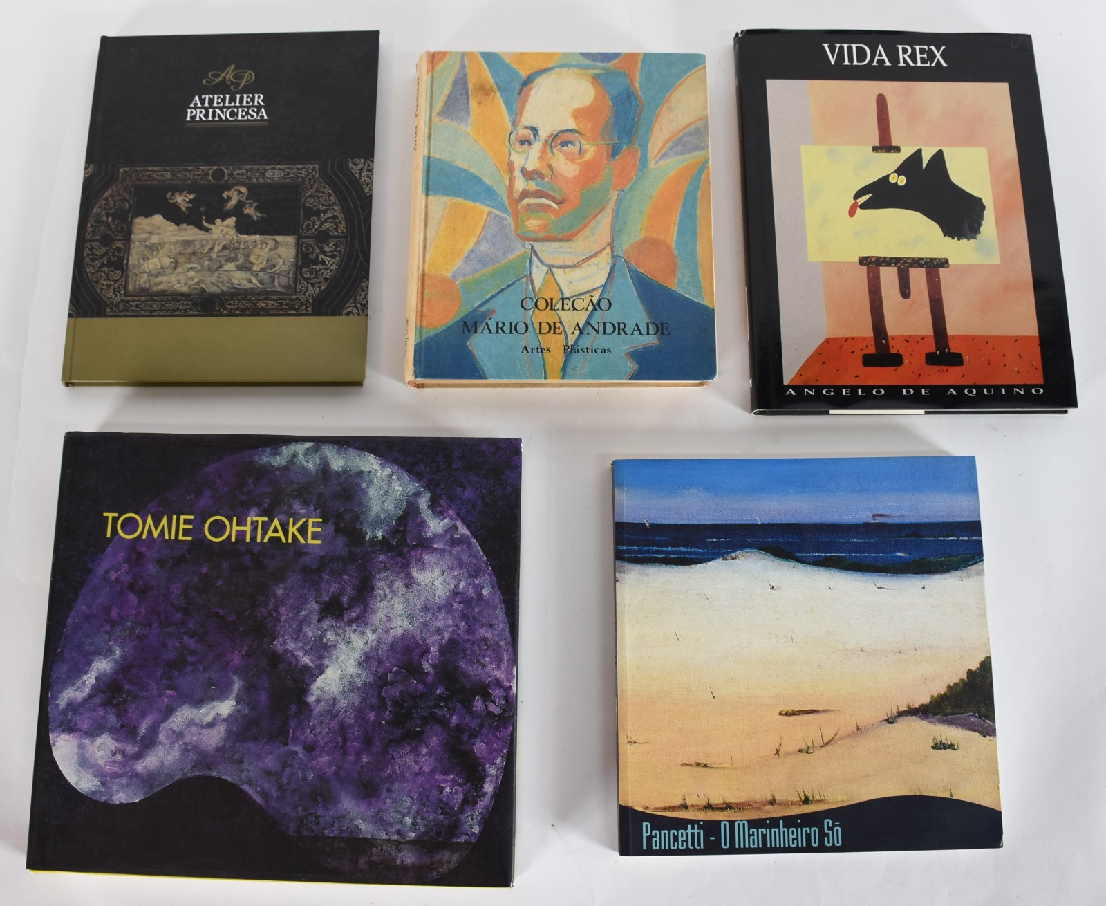 Cinco livros: A) Tomie Ohtake B)Atelier Princesa C)Angelo de Aquino... - foto 1 de 8