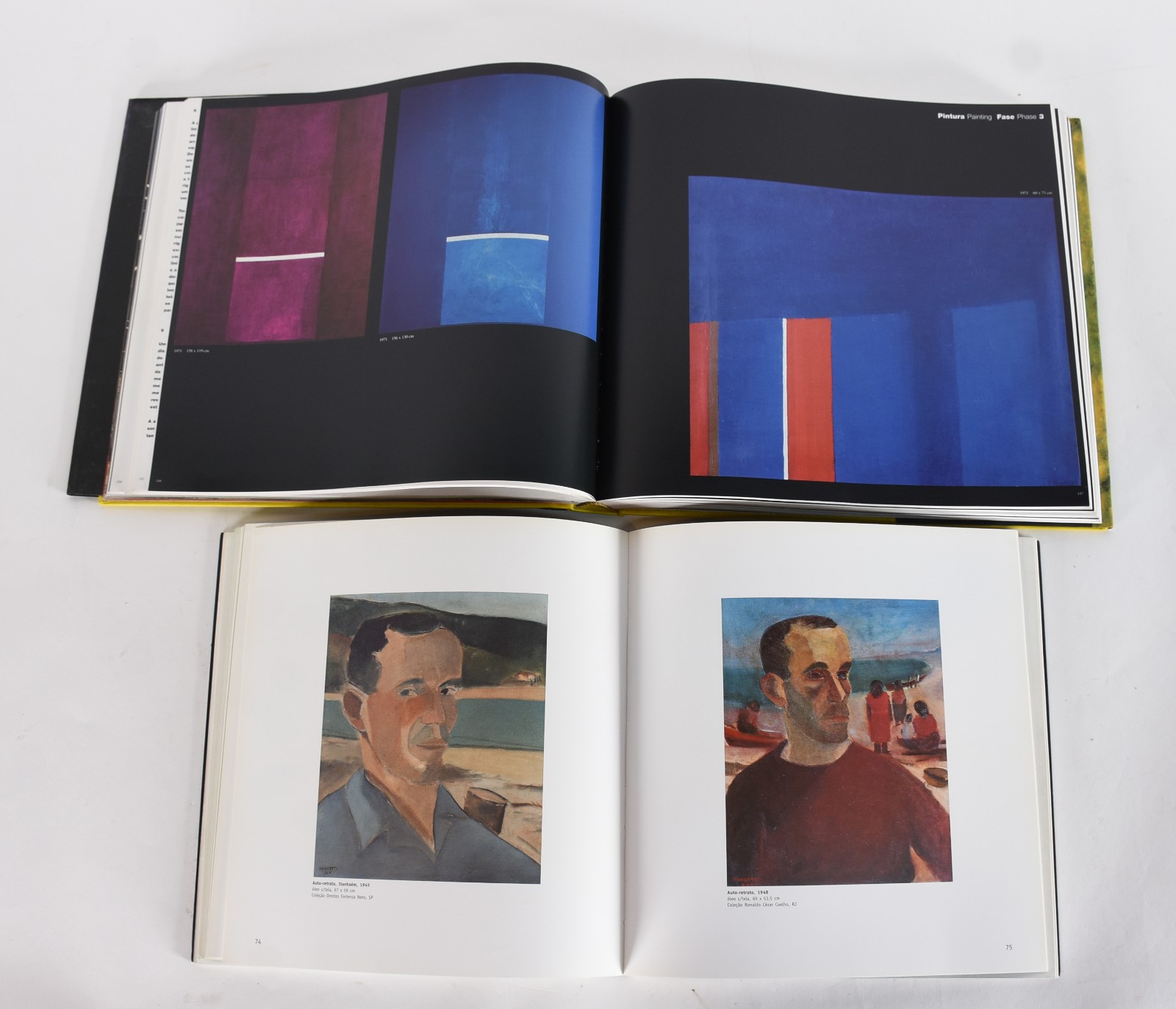 Cinco livros: A) Tomie Ohtake B)Atelier Princesa C)Angelo de Aquino... - foto 3 de 8