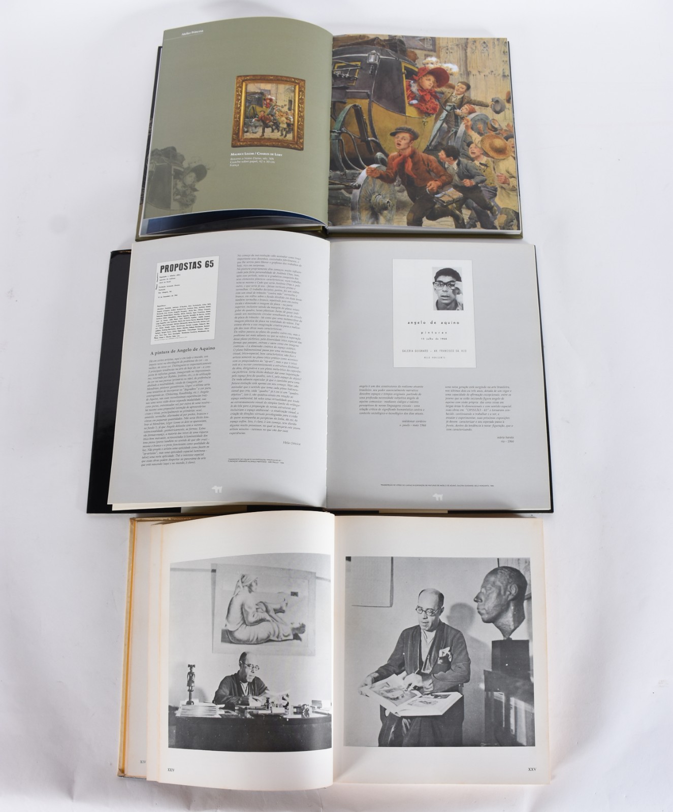 Cinco livros: A) Tomie Ohtake B)Atelier Princesa C)Angelo de Aquino... - foto 4 de 8