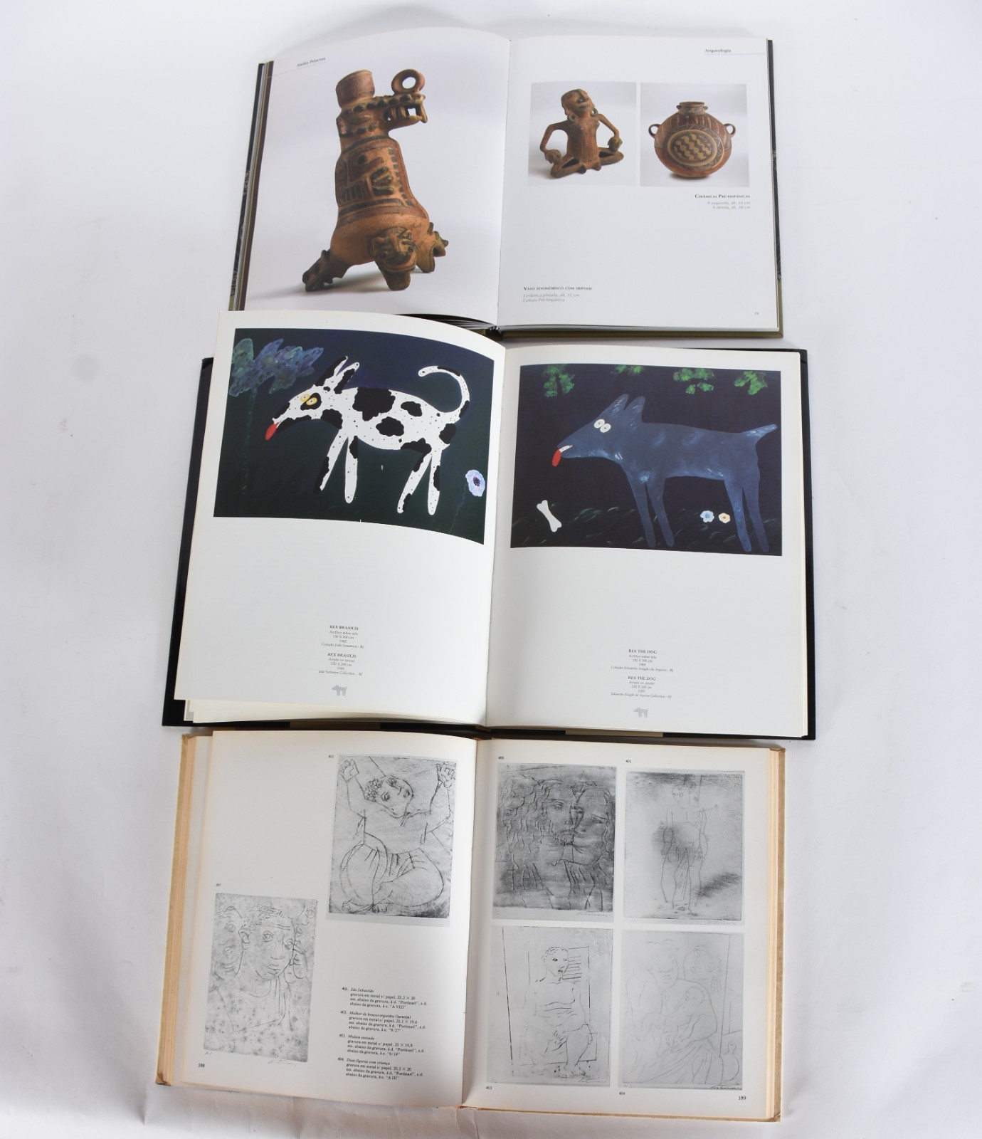 Cinco livros: A) Tomie Ohtake B)Atelier Princesa C)Angelo de Aquino... - foto 5 de 8
