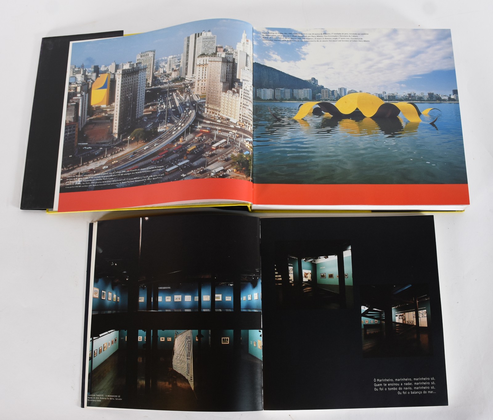 Cinco livros: A) Tomie Ohtake B)Atelier Princesa C)Angelo de Aquino... - foto 6 de 8
