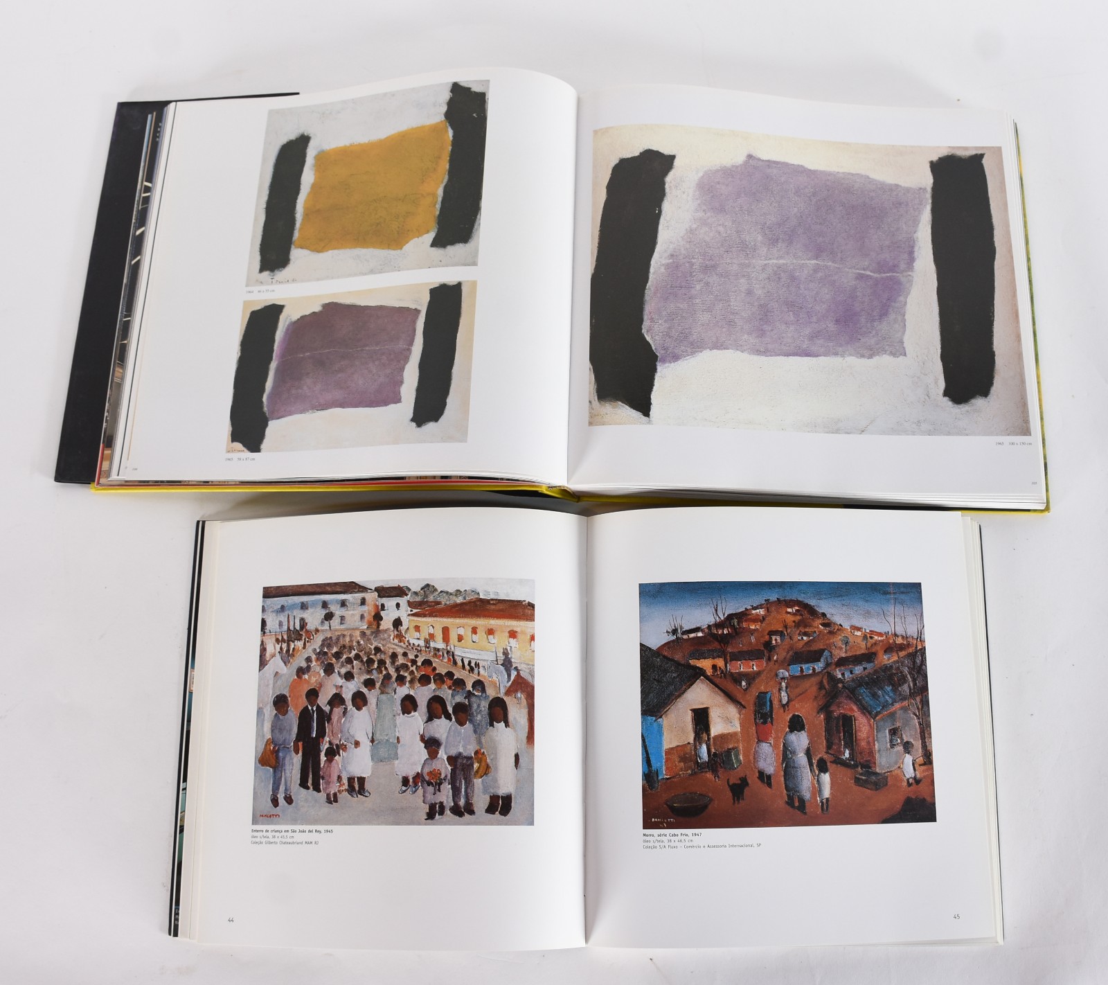 Cinco livros: A) Tomie Ohtake B)Atelier Princesa C)Angelo de Aquino... - foto 7 de 8