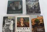 Cinco livros: A)Gustavo Dall'Ara<br>B)Malagoli ... - Cinco livros: A)Gustavo Dall'Ara<br>B)Malagoli - Visto por Quintana<br>C)Fani Bracher<br>D)A Modernidade<br>E) Guignaro