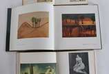 Cinco livros: A)Gustavo Dall'Ara<br>B)Malagoli ... - Cinco livros: A)Gustavo Dall'Ara<br>B)Malagoli - Visto por Quintana<br>C)Fani Bracher<br>D)A Modernidade<br>E) Guignaro