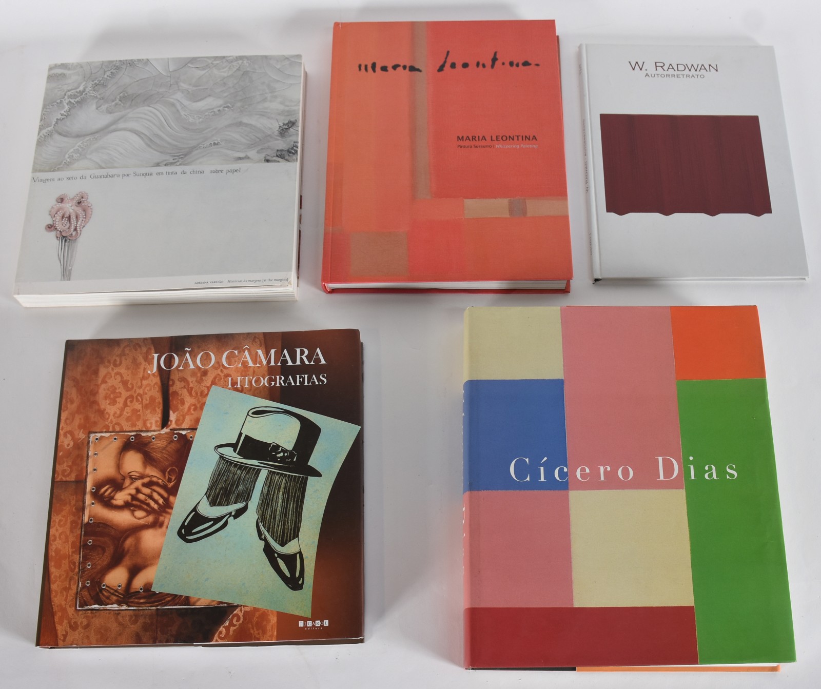 Cinco livros: A)W.Radwah B)Joã Camara C)Adriana Pedrosa D)Maria... - foto 1 de 8