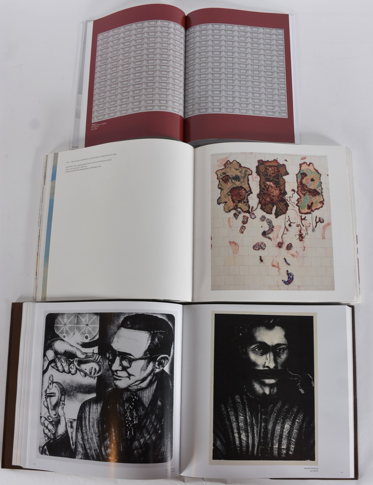 Cinco livros: A)W.Radwah B)Joã Camara C)Adriana Pedrosa D)Maria... - foto 8 de 8