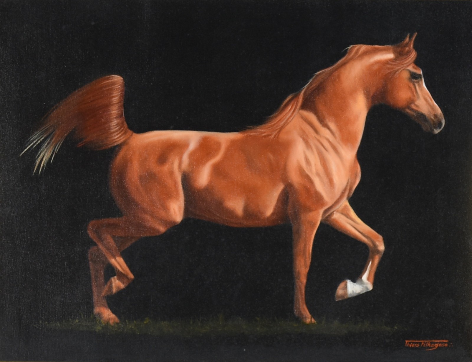 Cavalo - foto 1 de 4