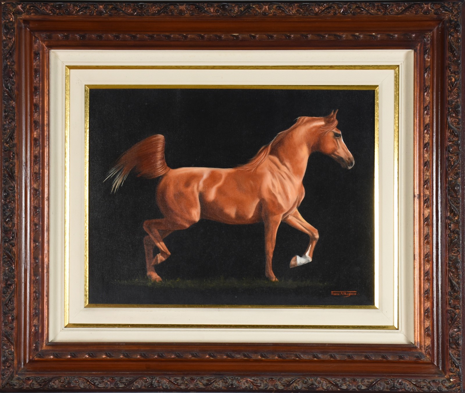 Cavalo - foto 2 de 4