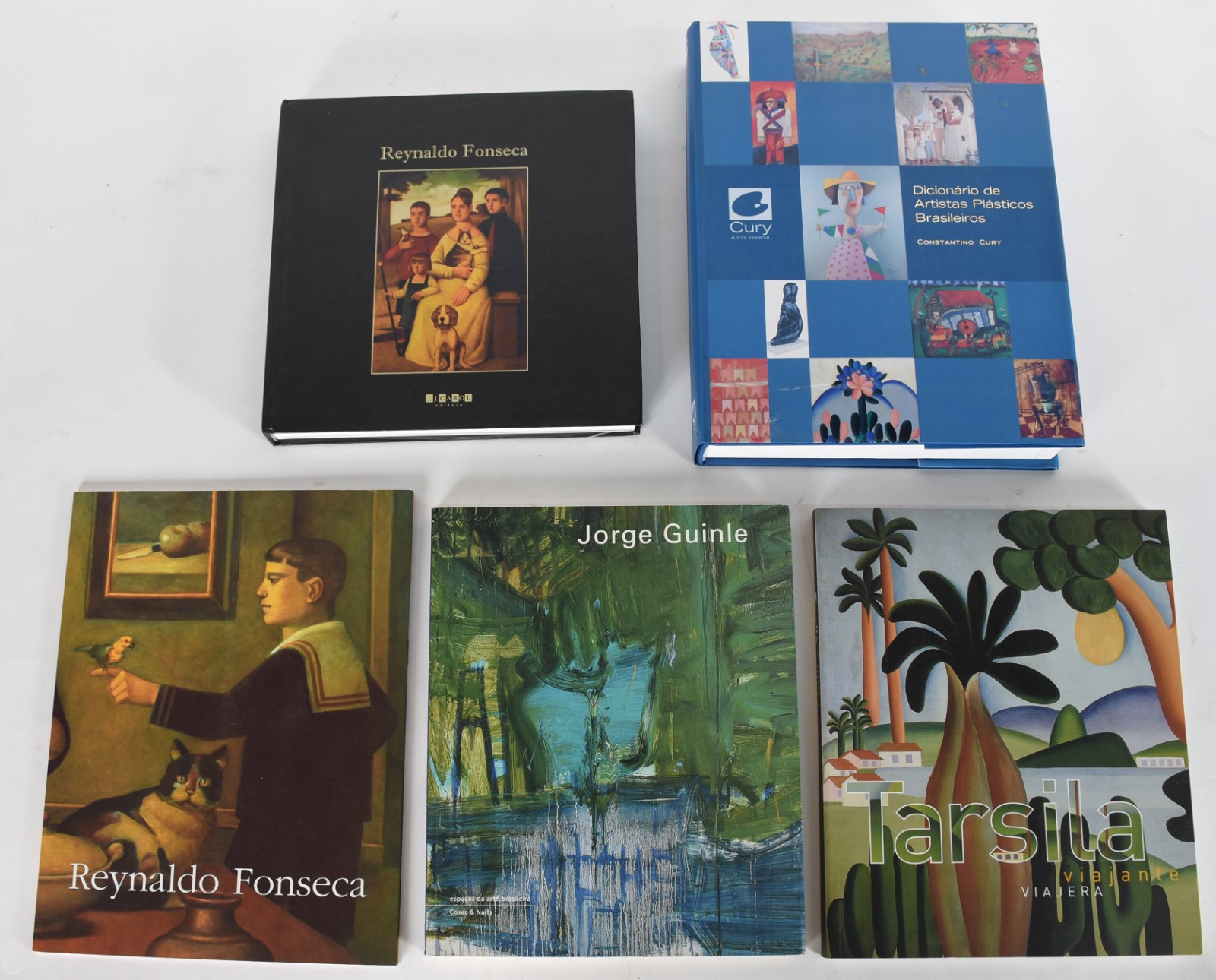 Cinco livros: A) Reynaldo Fonseca B)Tarsila C)Jorge Guinle... - foto 1 de 9