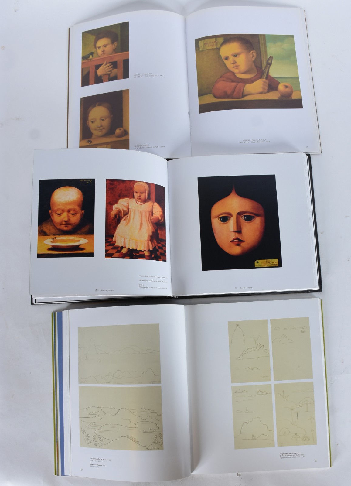 Cinco livros: A) Reynaldo Fonseca B)Tarsila C)Jorge Guinle... - foto 4 de 9