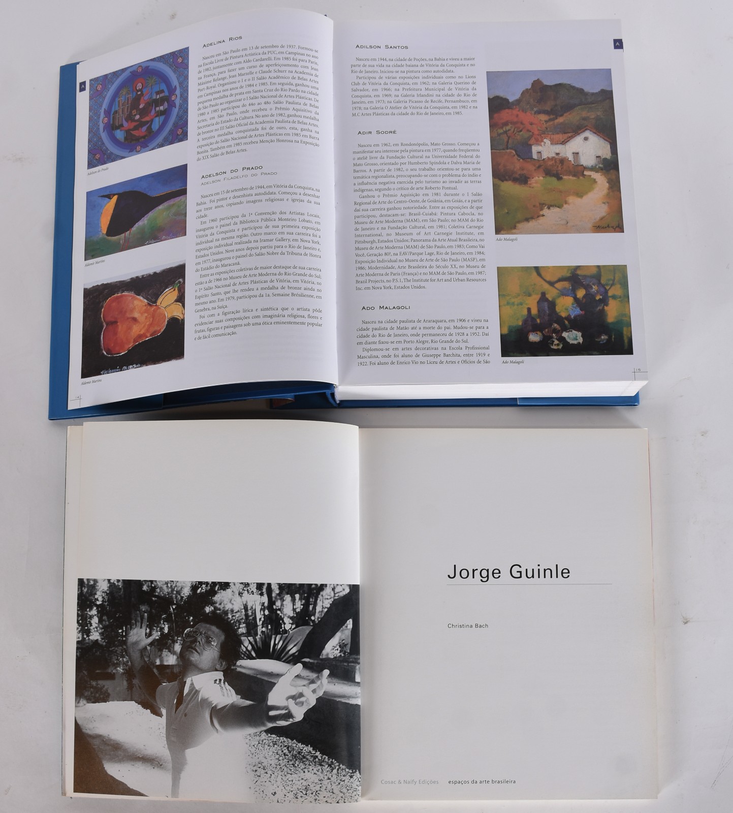 Cinco livros: A) Reynaldo Fonseca B)Tarsila C)Jorge Guinle... - foto 6 de 9