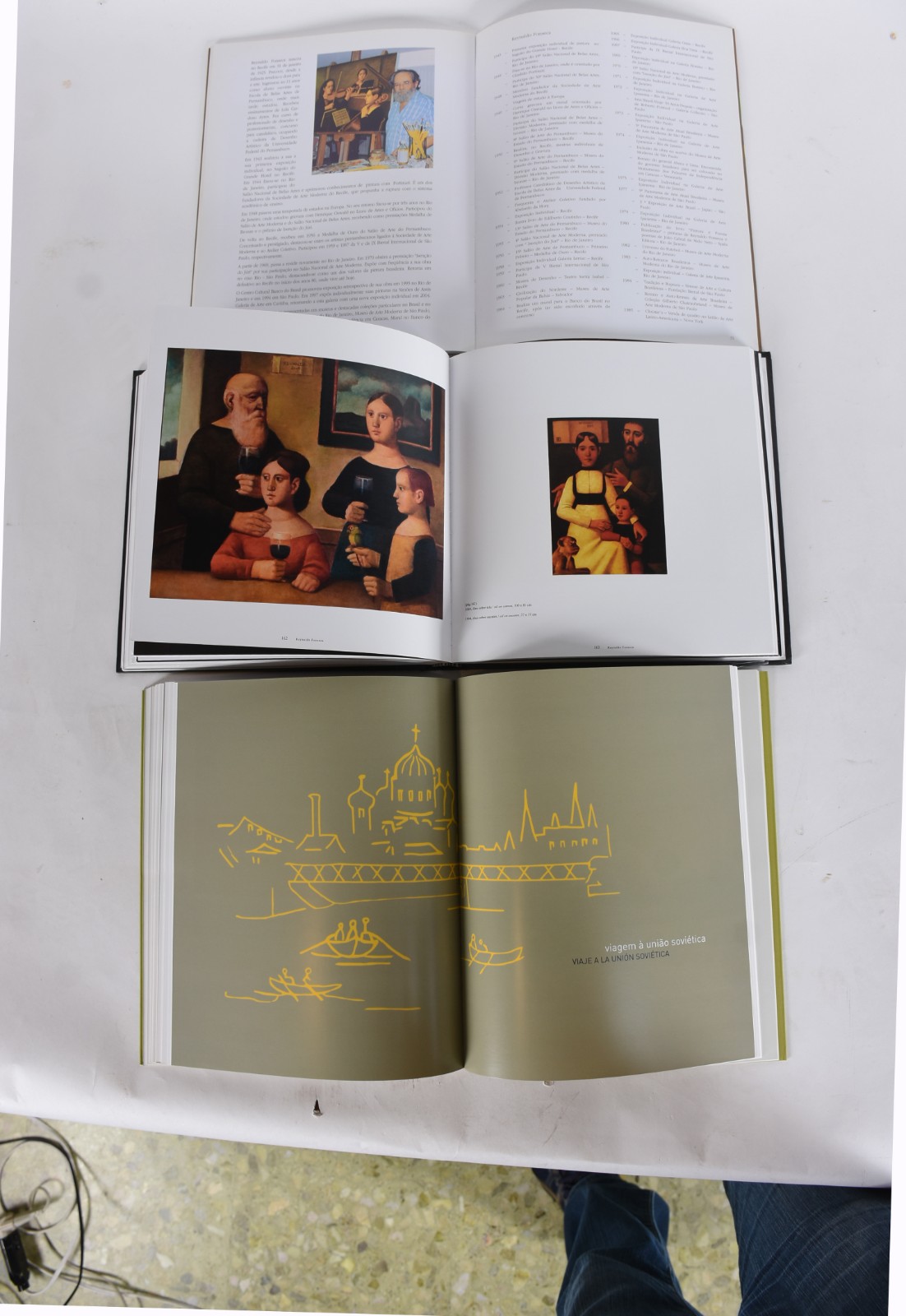 Cinco livros: A) Reynaldo Fonseca B)Tarsila C)Jorge Guinle... - foto 7 de 9