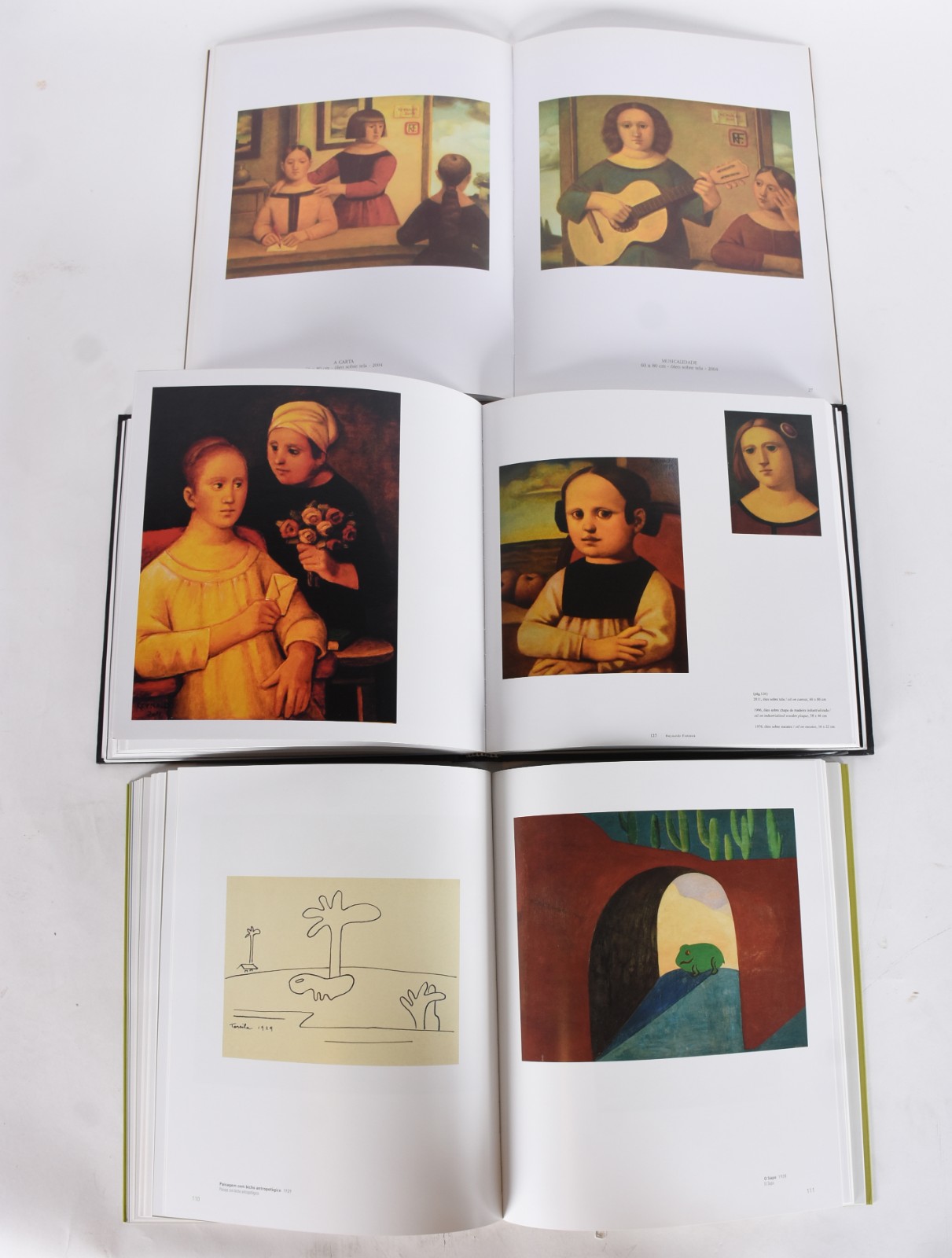 Cinco livros: A) Reynaldo Fonseca B)Tarsila C)Jorge Guinle... - foto 8 de 9