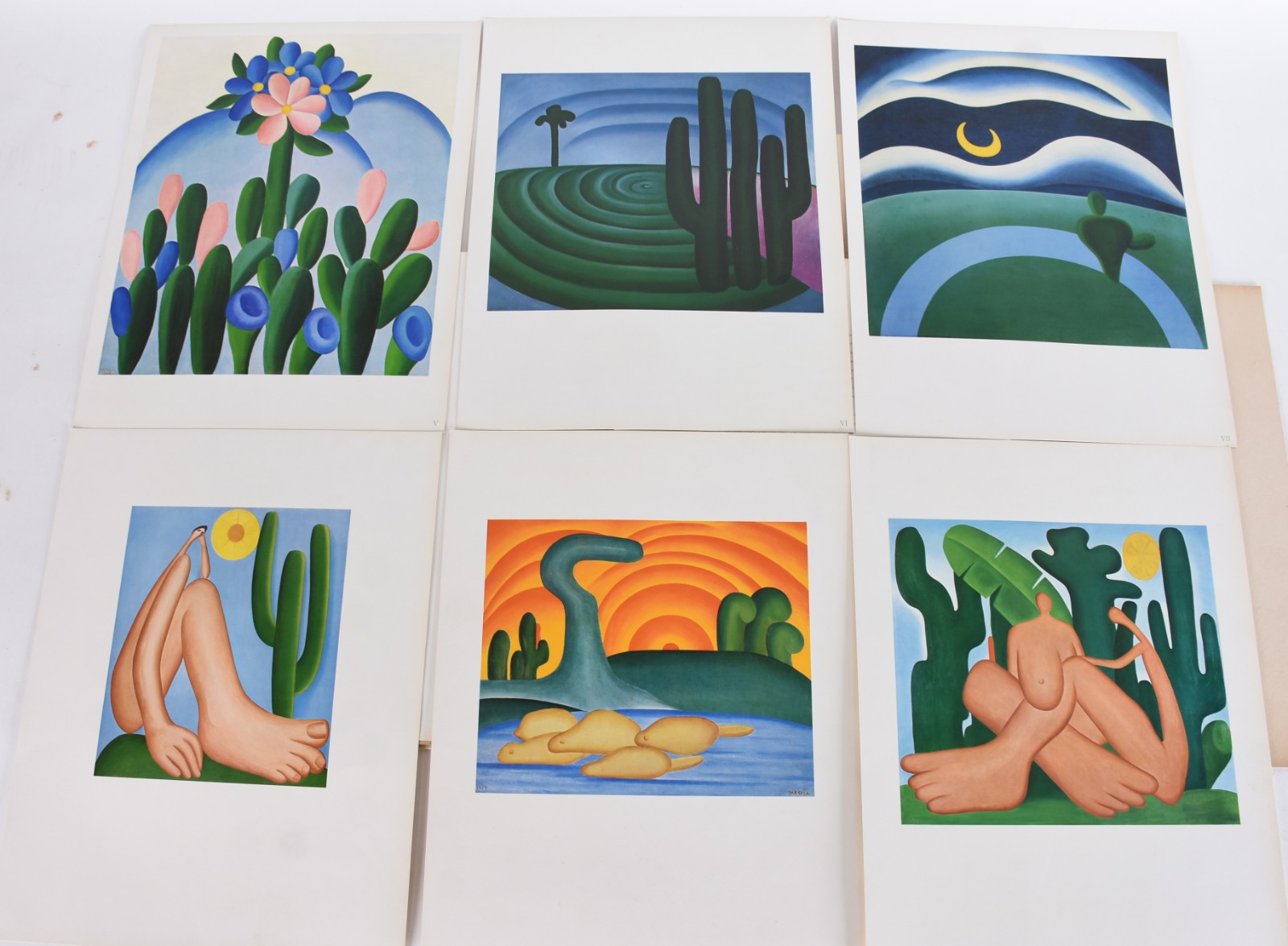 Dois livros: A) Tarsila B) Clássicos da Pintura Moderna Brasileira - foto 8 de 8