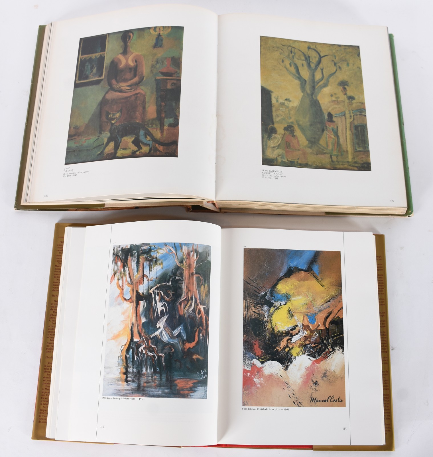 Cinco livros: A)Carybé - Bruno Furrer B)Manoel Costa - Walmir Ayala... - foto 5 de 10