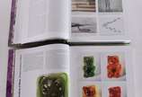 Vik Muniz (1961),  - 2 Livros - Catalogue Raisonné .