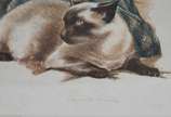 C.LIMA, Figura Feminina com Gato - Gravura 39/100.