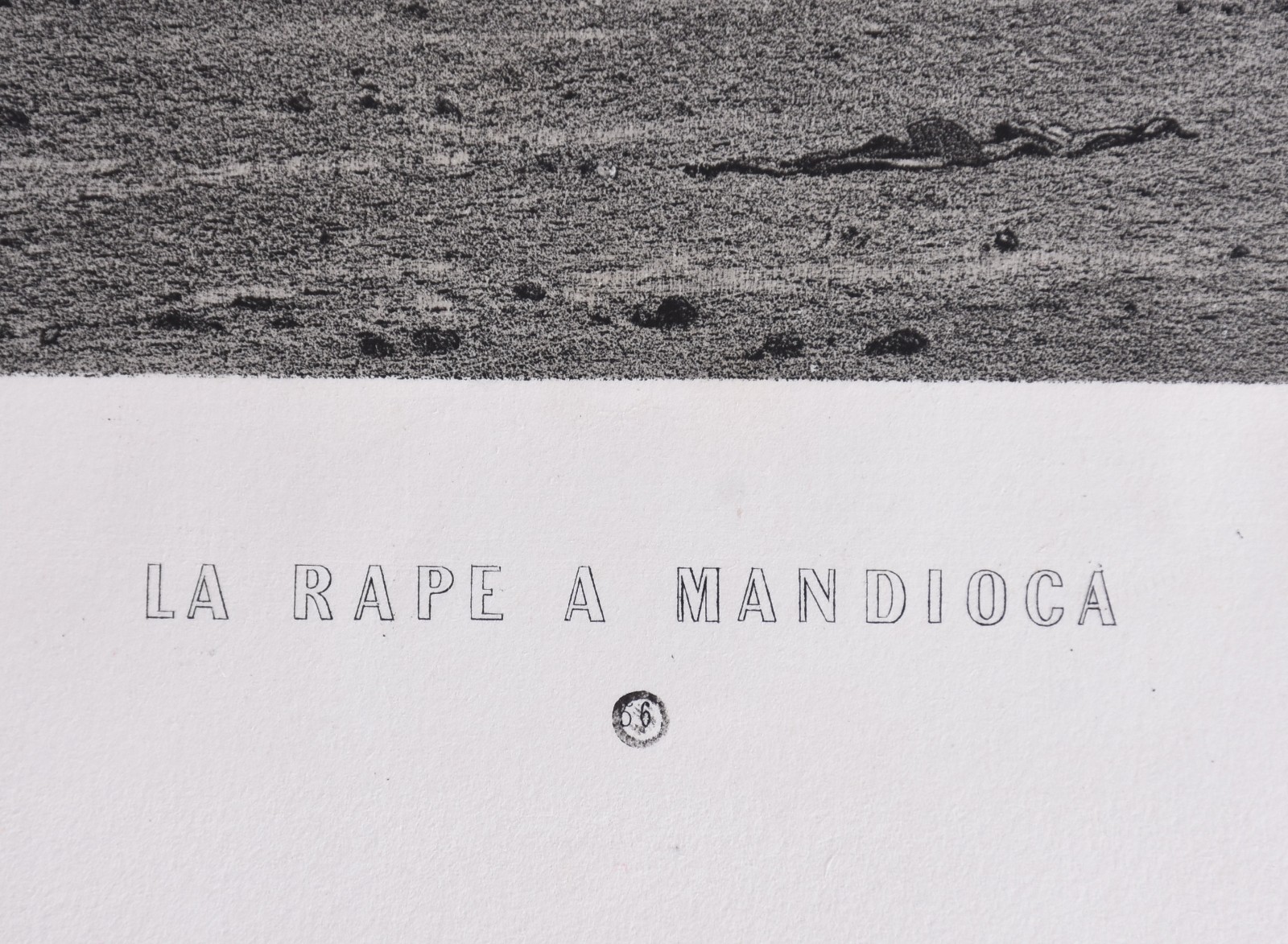 La Rape a Mandioca - foto 4 de 5