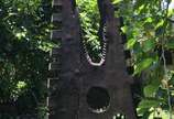 Sem assinatura,  - Escultura de madeira (Retirada em residência na Barra da Tijuca).