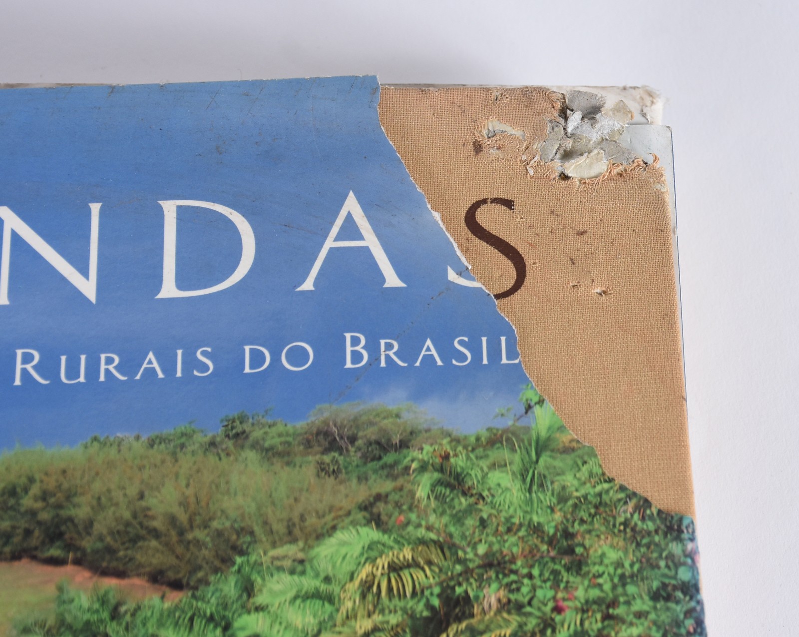 Cinco livros diversos: A) Monet - Daniel Wildenstein B) Gênesis... - foto 2 de 9