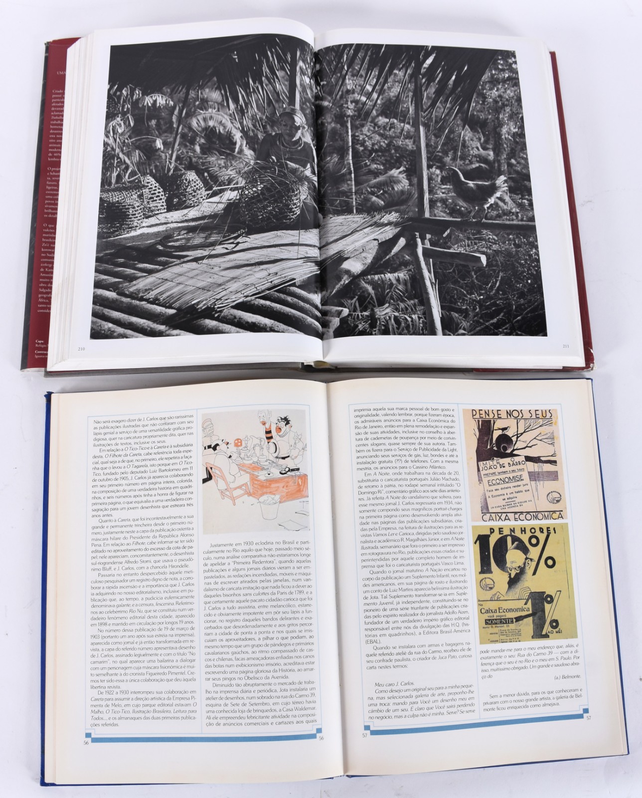 Cinco livros diversos: A) Monet - Daniel Wildenstein B) Gênesis... - foto 6 de 9