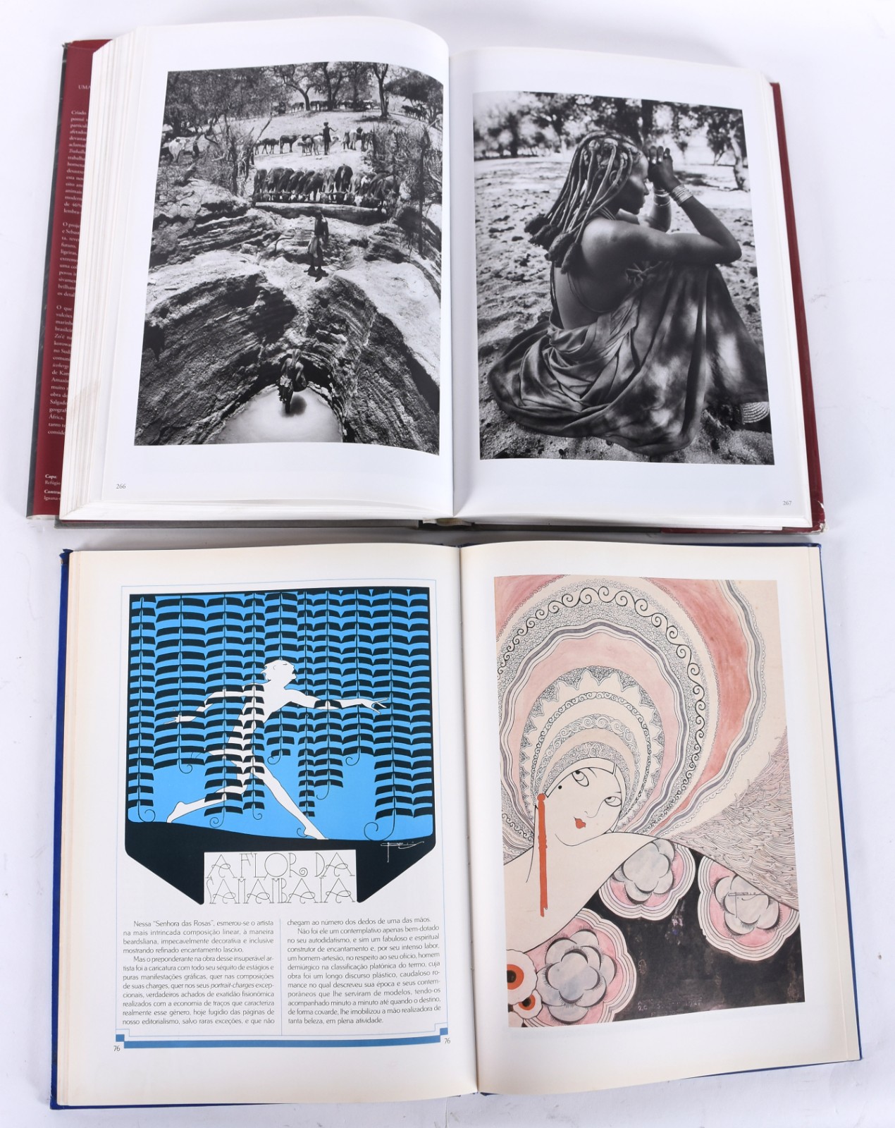 Cinco livros diversos: A) Monet - Daniel Wildenstein B) Gênesis... - foto 8 de 9